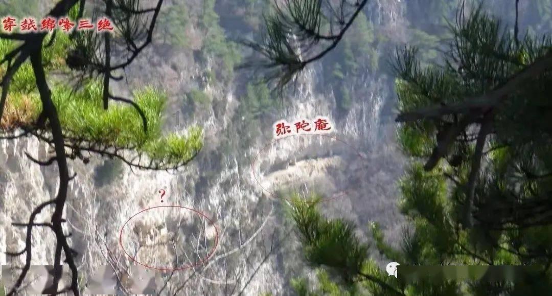 探索“延毕”是什么?为什么会有学生主动选择“延毕”?知识星球平台